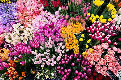 古川俊太郎：会认真考虑Switch 2定价 Switch没有降价计划