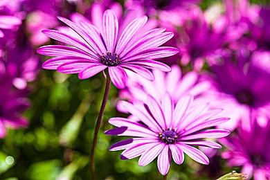 《腐烂国度2：巨霸版》Steam新史低 9.9元即可入手